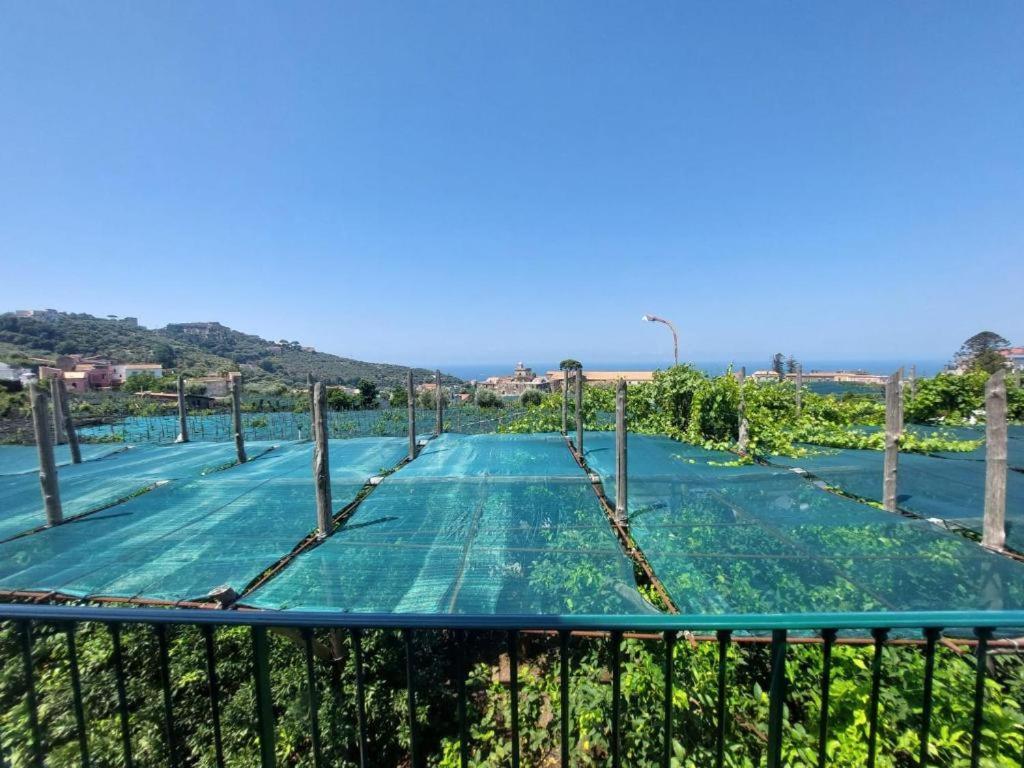 Il Pozzillo Maison Massa Lubrense Exterior photo